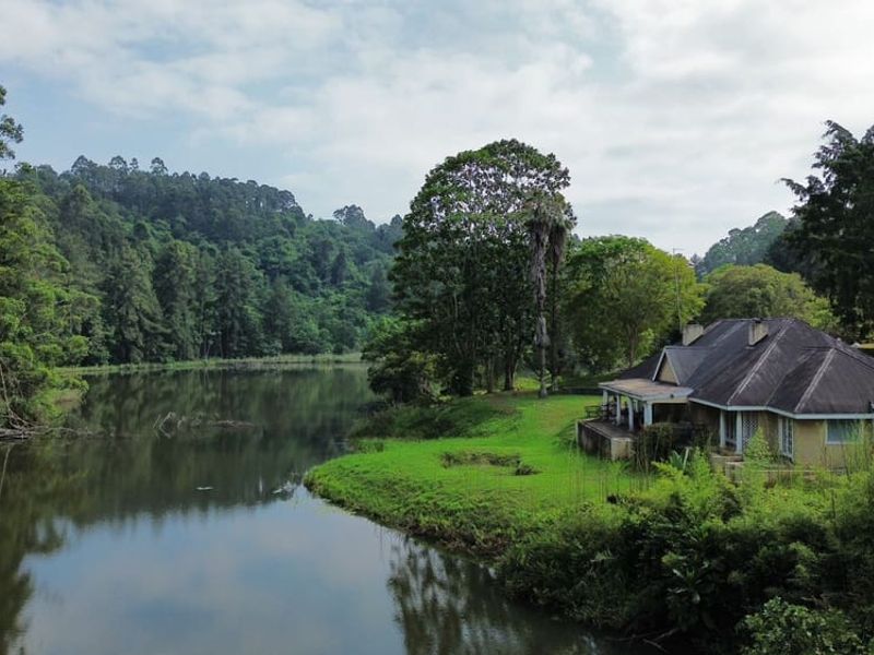 Exclusive 5-Star Boutique Lodge & Private Farm Estate for Sale in Hazyview, Mpumalanga - Photo 4
