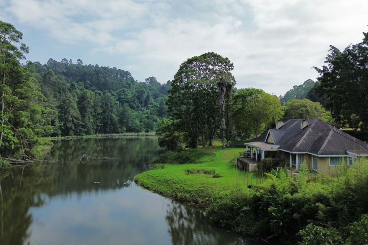 Exclusive 5-Star Boutique Lodge & Private Farm Estate for Sale in Hazyview, Mpumalanga - Photo 4