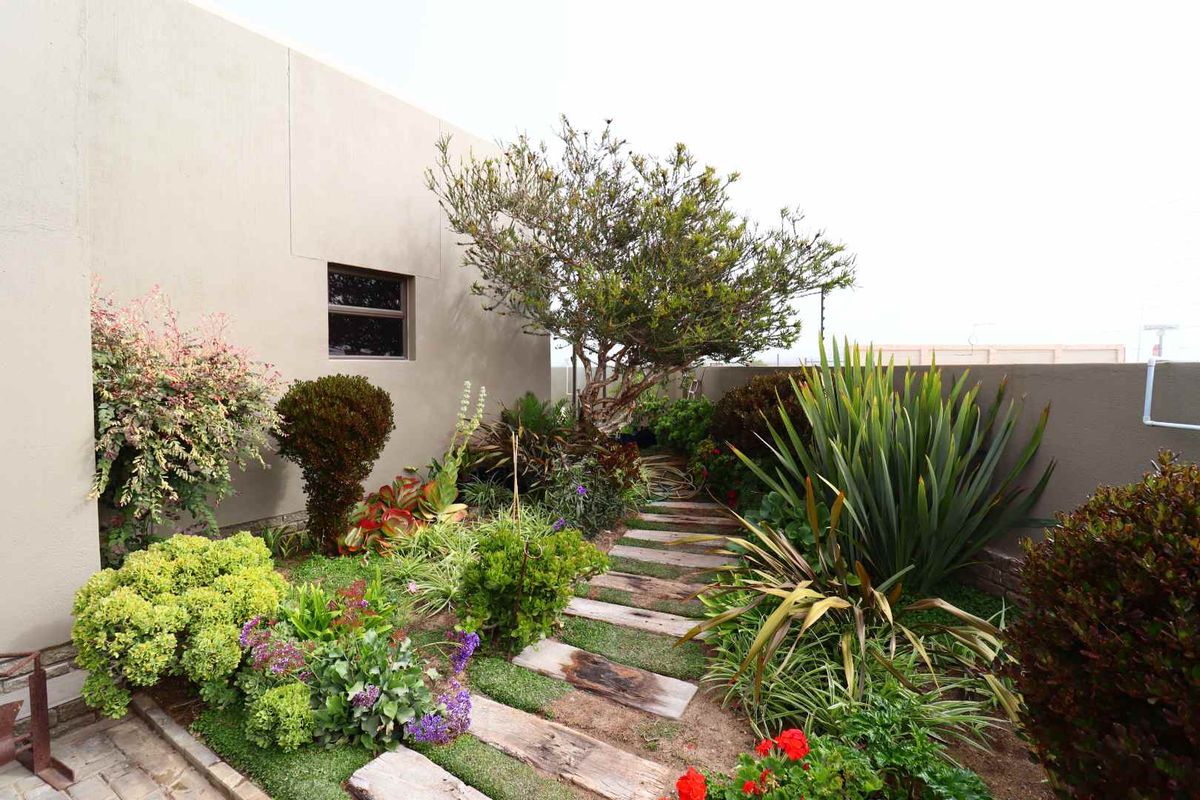 3-Bedroom Family Home with Flatlet for Sale in Swakopmund Namibia - Photo 5