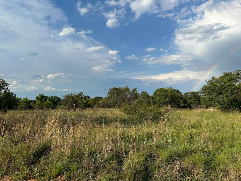 BUSVELD 4.2 HA VACANT LAND FOR SALE  - NO FARMING -R1 170 000 - Photo 5