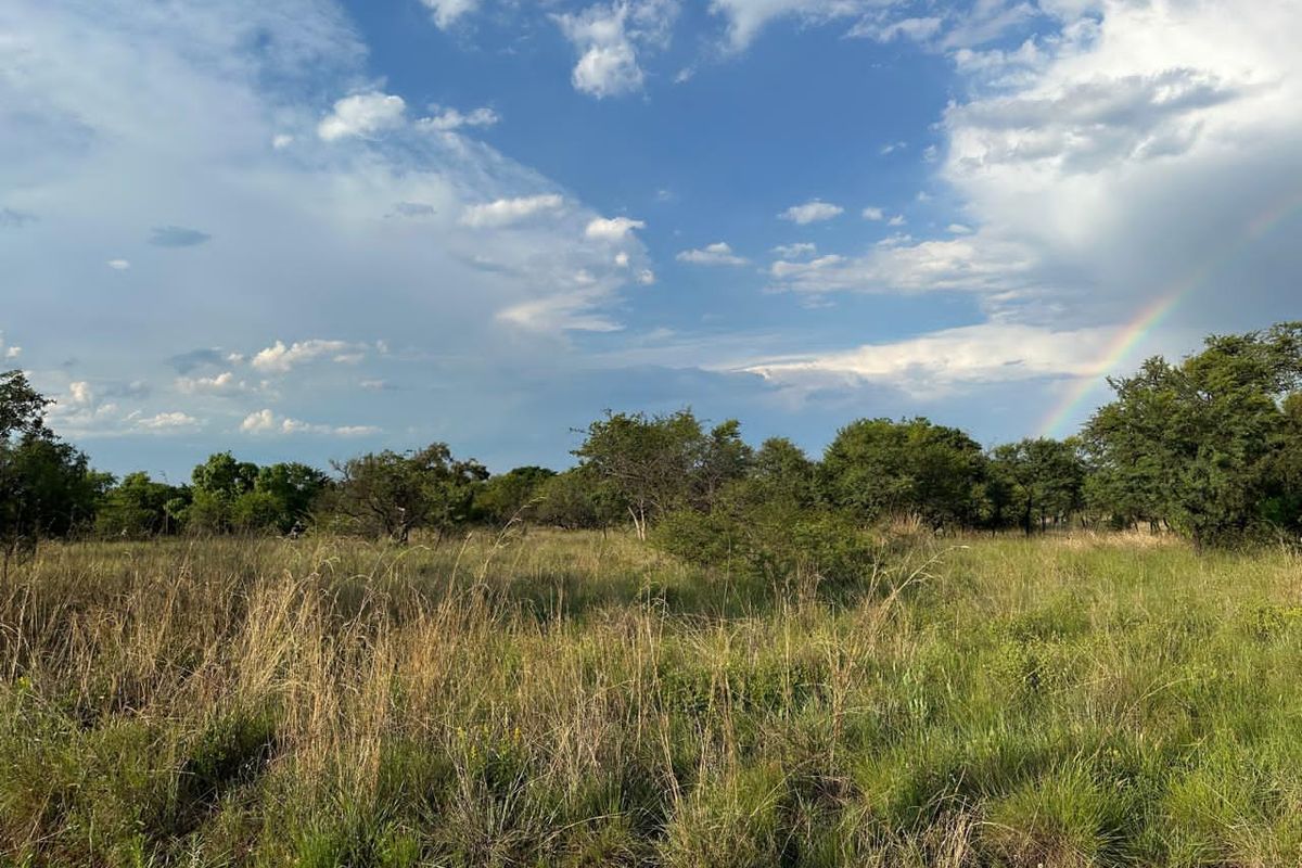 A scenic view of the expansive farm landscape featuring natural grasslands, mature trees, and a rainbow under a bright, cloudy sky.
