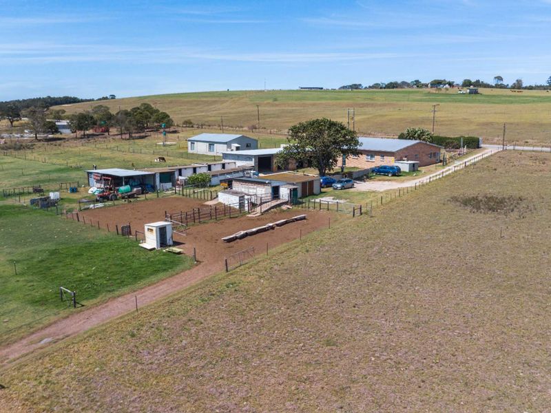 Dairy Farm for Sale, Eastern Cape - Photo 9