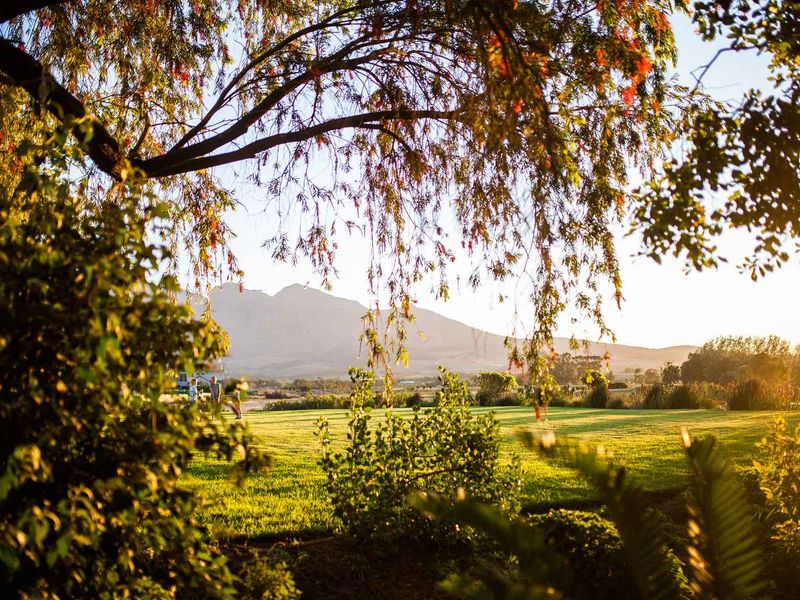 Build a 27 Hectare Legacy Estate on a Scenic Winelands Landscape at Val de Vie Estate - Photo 10