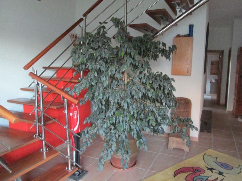 One of a kind! Delight your senses with the detail in this house  Not only provides this house shelter  but is definitely an extension of a family's lifestyle assisting with the venture towards quality of life             nsion of a family's lifestyle - Photo 7