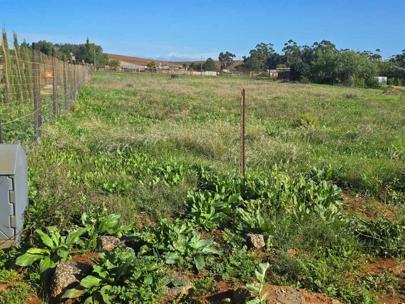 Prime Multi-Use Vacant Land for Sale: Ideal for Homesteading - Photo 5