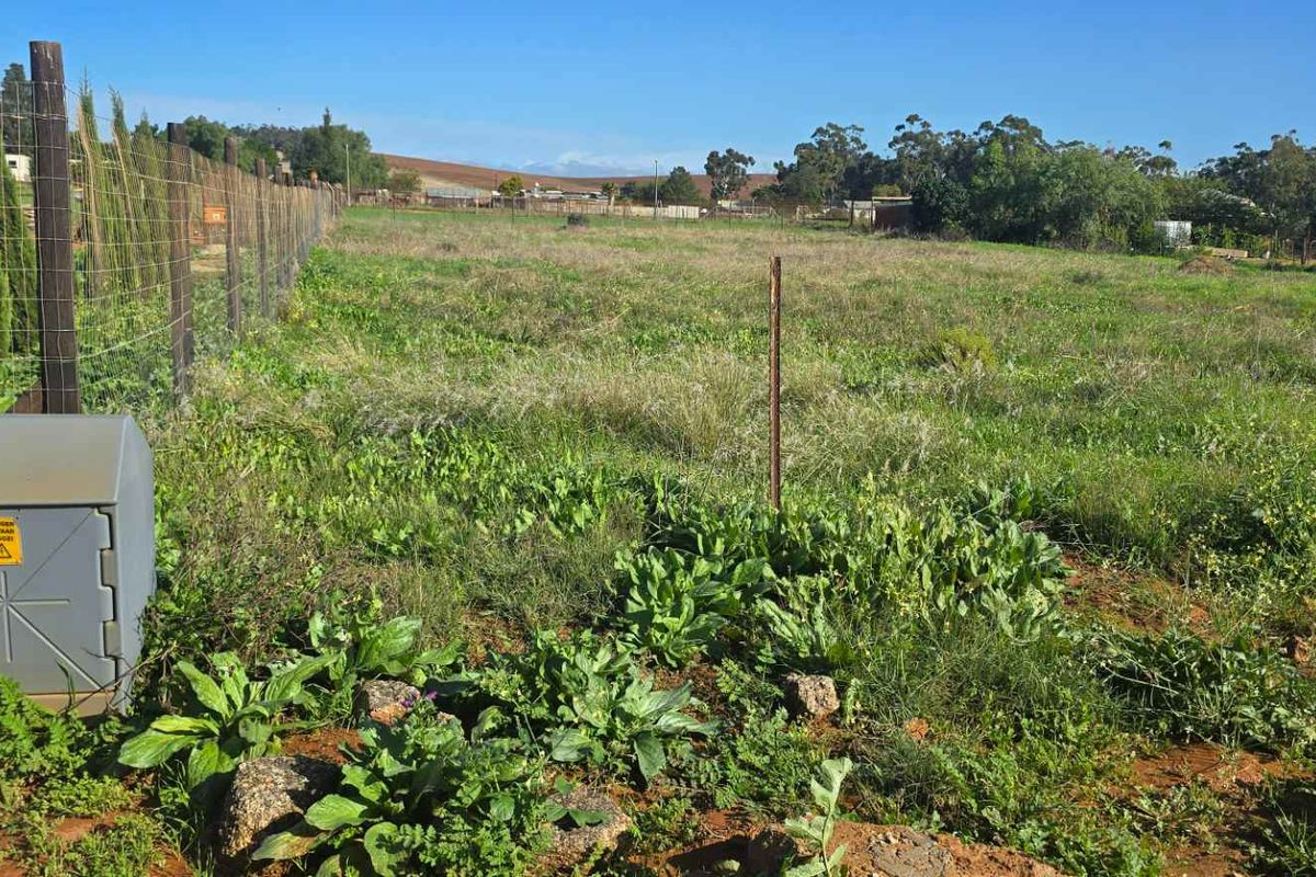 Prime Multi-Use Vacant Land for Sale: Ideal for Homesteading - Photo 5