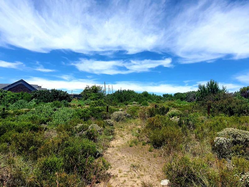A view of a vacant residential plot featuring natural coastal vegetation and perimeter fencing.