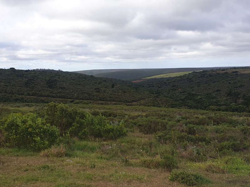 50 hectares with So much potential - Photo 2