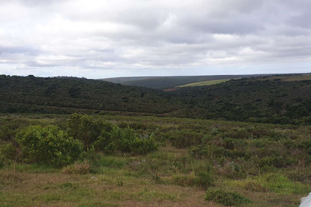 50 hectares with So much potential - Photo 2