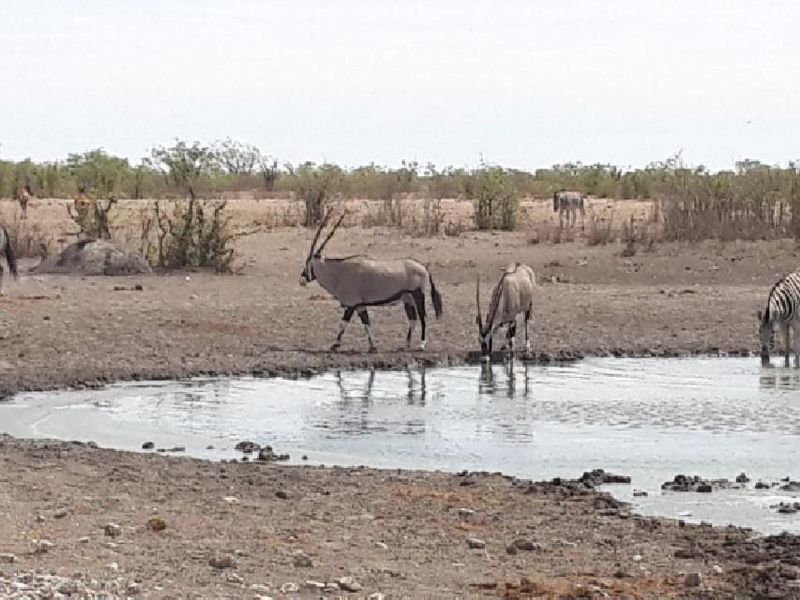 Commercial Agricultural Farm for Sale-Maltahohe - Photo 6