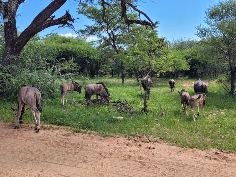 STAND IN TRANQUIL  AREA - Photo 4
