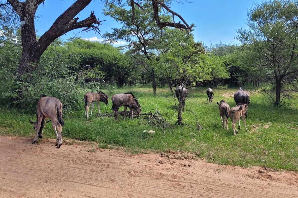 STAND IN TRANQUIL  AREA - Photo 4