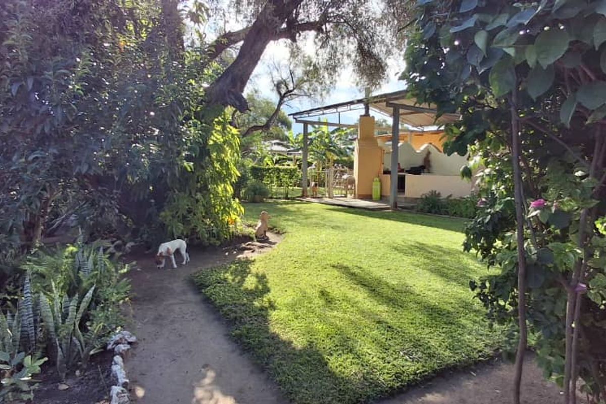 Grootfontein - Suburb Family House with Flat For Sale - Ext 4 - Photo 2