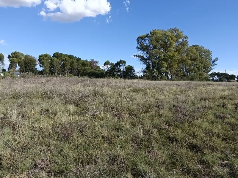 VACANT LAND. VERY SAFE AREA.   AFFORDABLE PRICE. ONE SIDE HAVE  A SMALL BUSHY AREA. - Photo 4