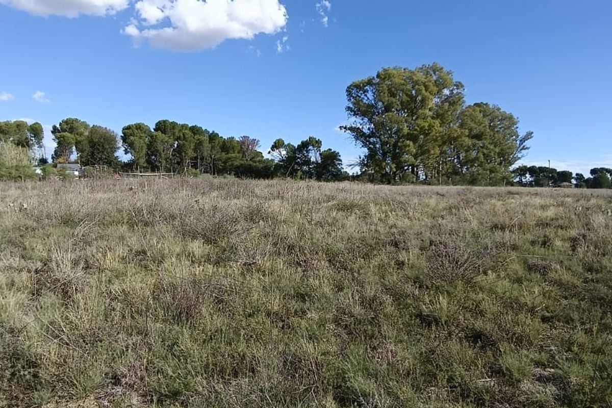 VACANT LAND. VERY SAFE AREA.   AFFORDABLE PRICE. ONE SIDE HAVE  A SMALL BUSHY AREA. - Photo 4