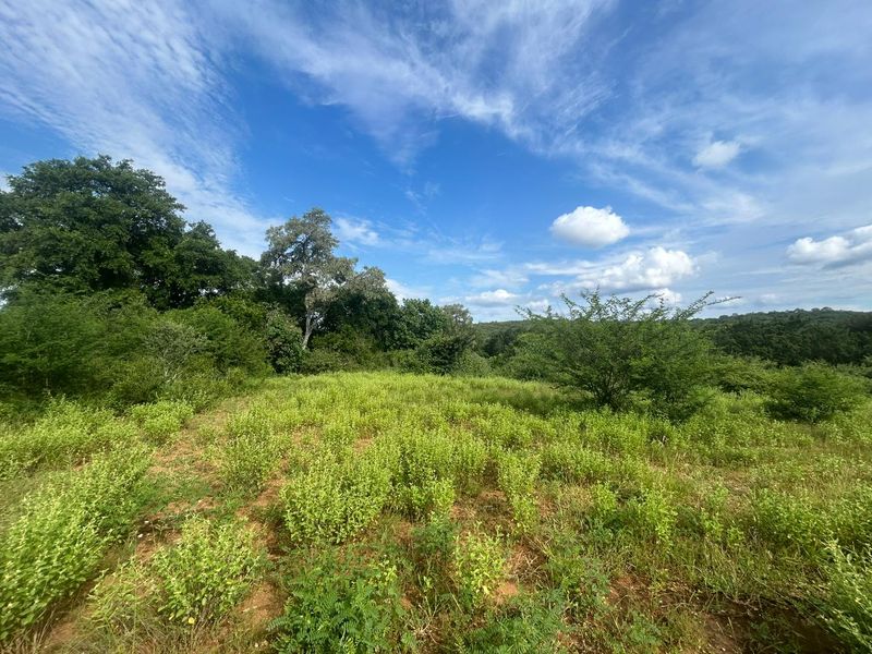 Vacant Land for sale in the new and popular Elephant Rock Eco Estate!! - Photo 10