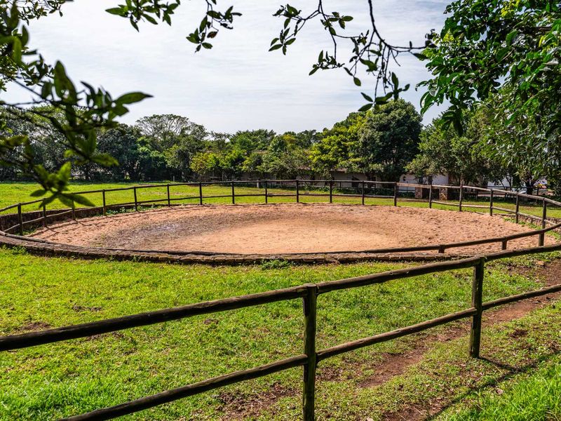 Spacious Modern Country Living in the Heart of KZN - Photo 10