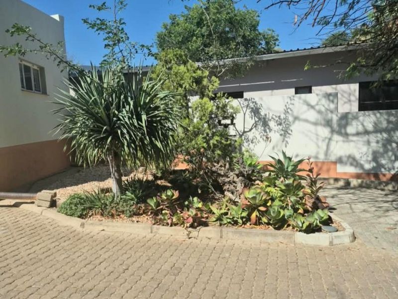 A paved driveway area featuring a landscaped garden bed with established plants and a concrete boundary wall.
