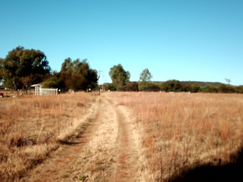 SMALL HOLDING.PROPARTY SURROUND BY 1.8METER GAME FENCE. - Photo 7