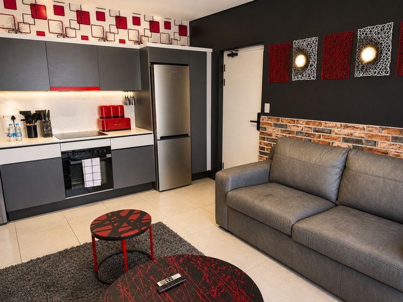 Modern open-plan apartment featuring a compact kitchen with built-in cabinetry, electric hob, and oven, seamlessly integrated with a comfortable living area.