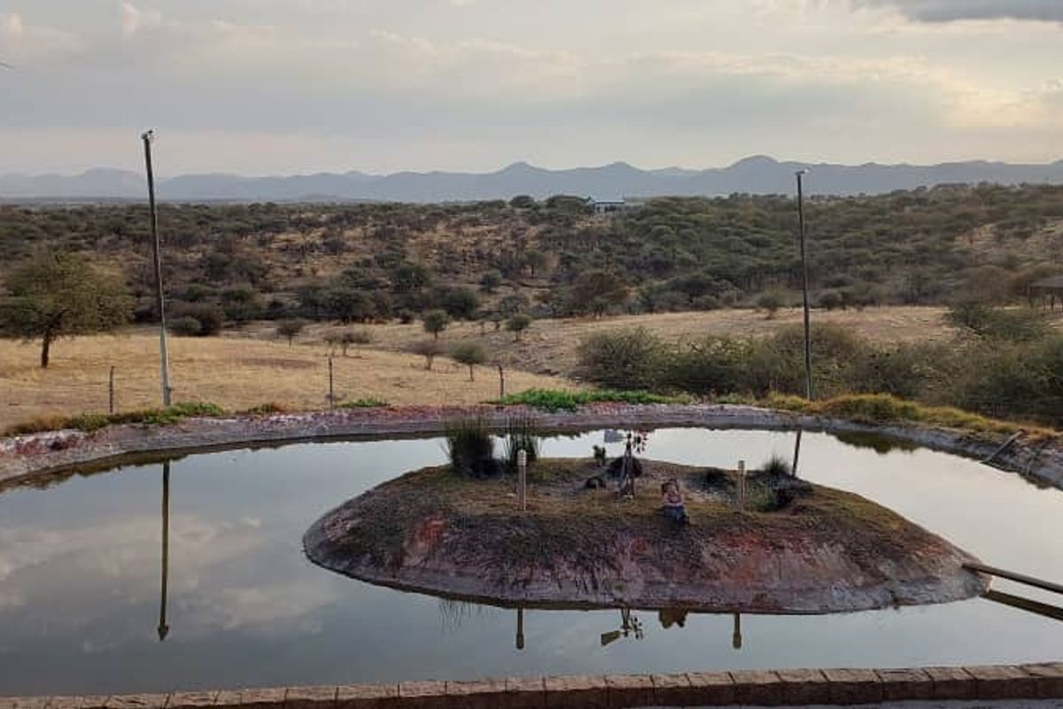 Your Lodge-Style Dream Home Awaits - Photo 3