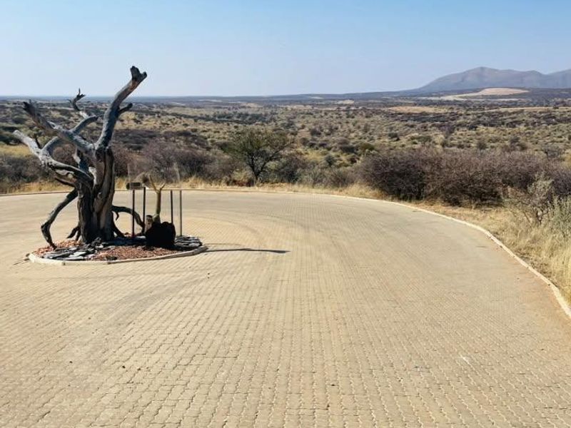 A paved driveway area featuring a decorative tree, overlooking an expansive natural landscape with distant mountain views.