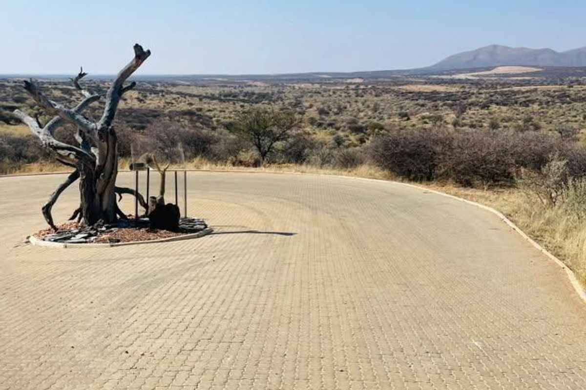 A paved driveway area featuring a decorative tree, overlooking an expansive natural landscape with distant mountain views.