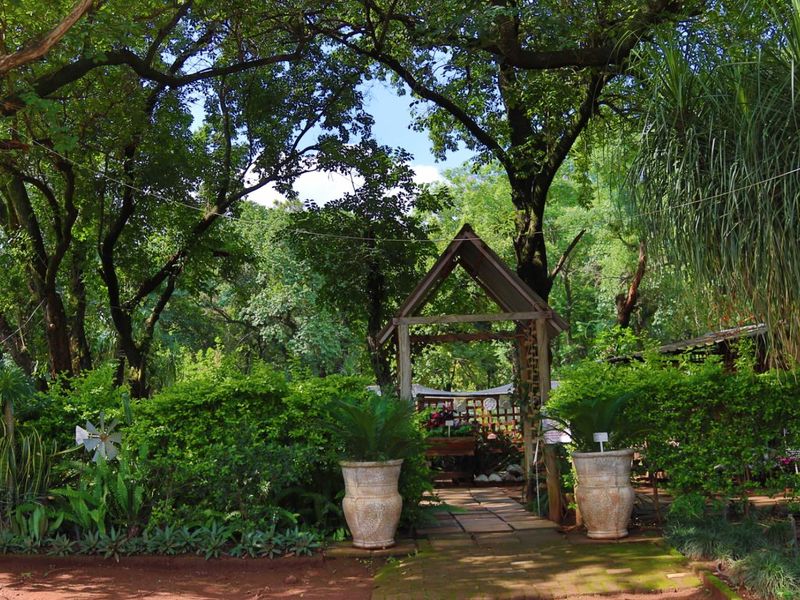 Established Plant Nursery Business For Sale. - Photo 4