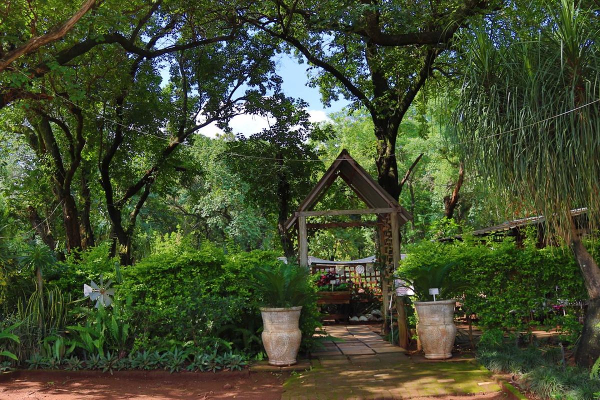 Established Plant Nursery Business For Sale. - Photo 4