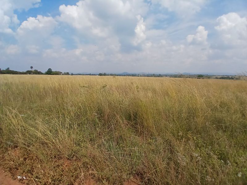 Experience Nature: Affordable Farm in Onderstepoort! - Photo 5