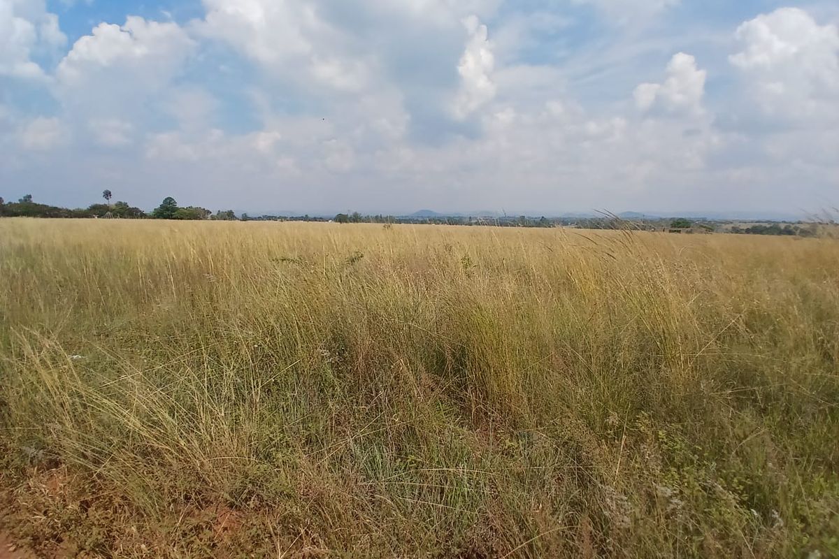 Experience Nature: Affordable Farm in Onderstepoort! - Photo 5