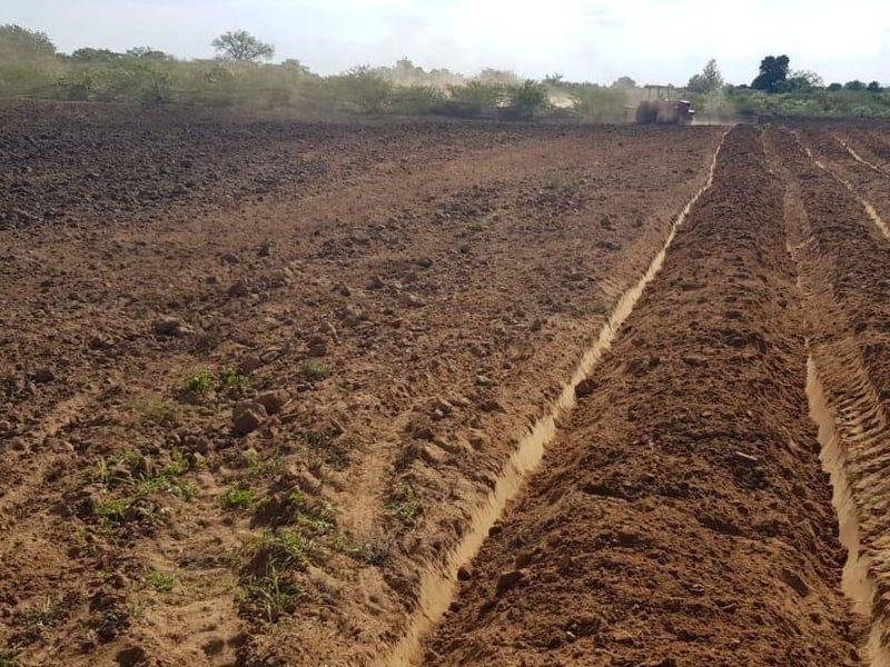 13 Hectares Farm for sale at Mangondi Ha Jimkone - Photo 10