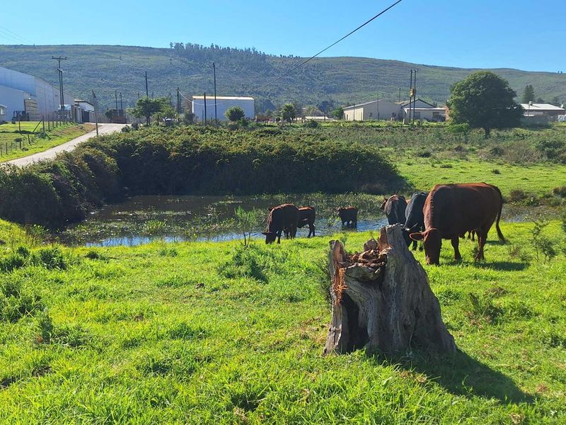 Somewhere Dreamy - Photo 8