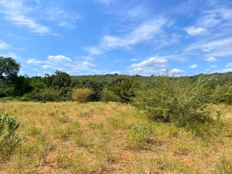 Riverside Stand in Elephant Rock Eco Estate - Photo 4