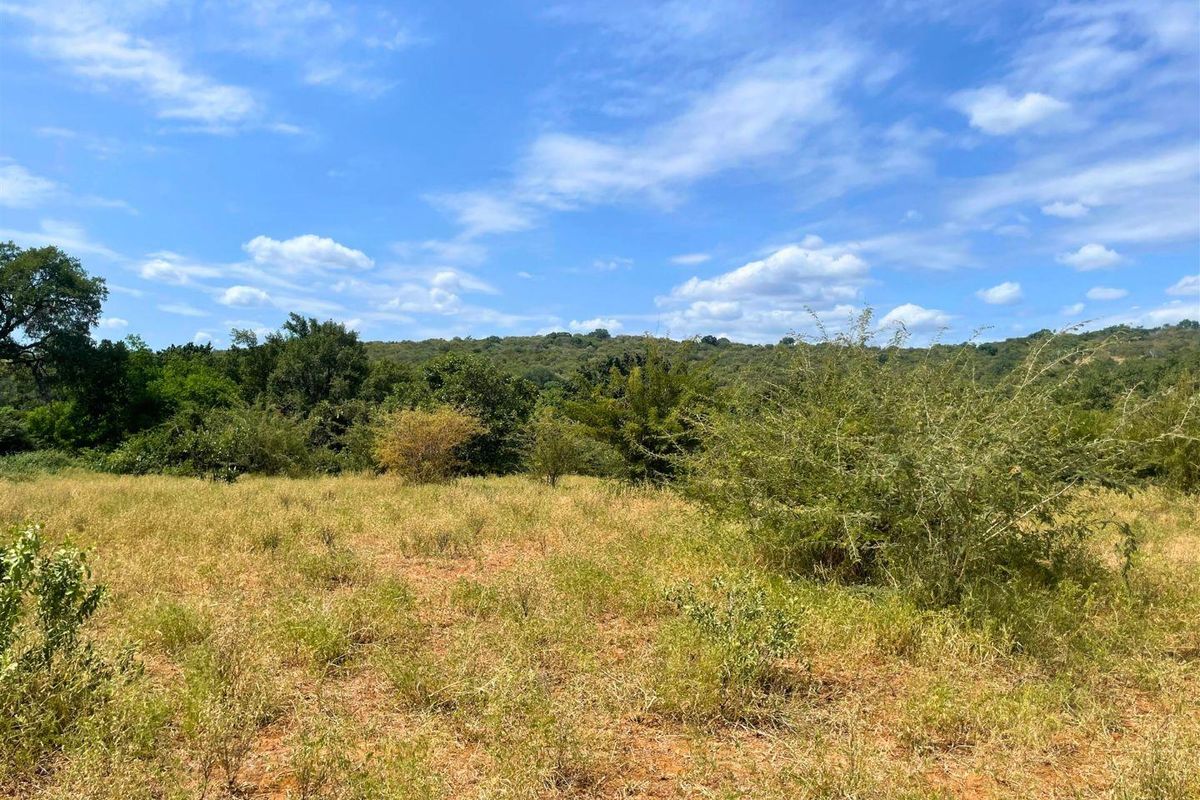 Riverside Stand in Elephant Rock Eco Estate - Photo 4