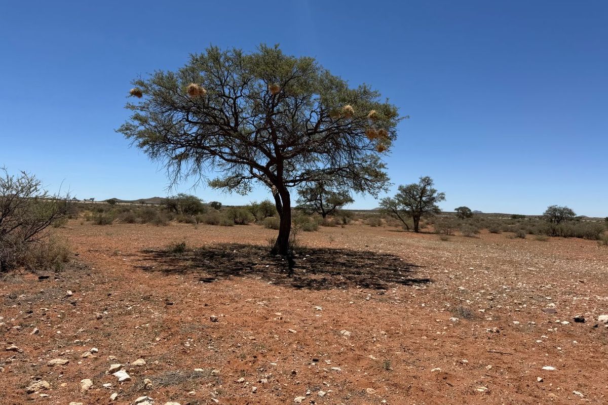 FARM FOR SALE- EXCEPTIONAL VALUE!! - Photo 3