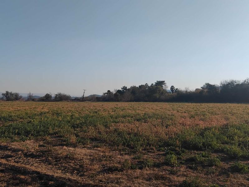 Farm For Sale in Brits - Photo 8