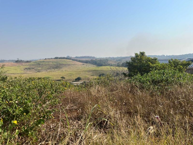 A scenic view overlooking rolling hills and natural landscape from the vacant residential property.