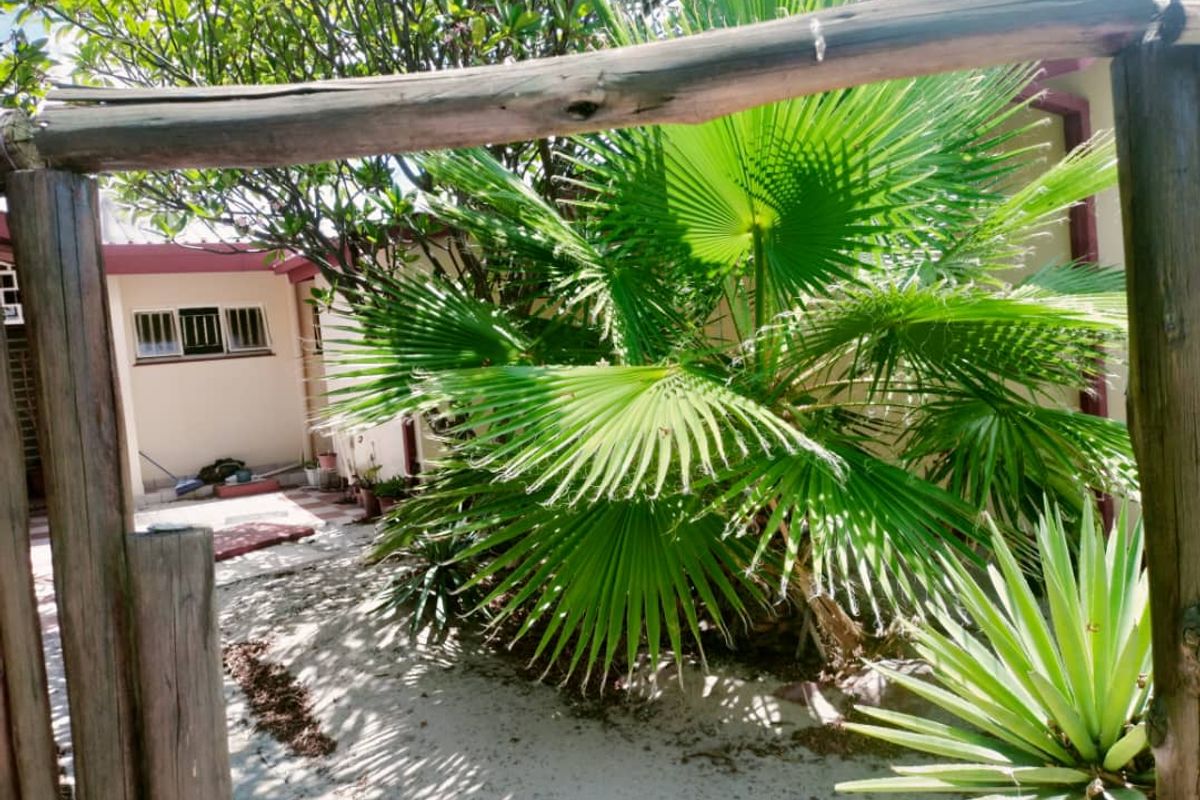 Your Dream Home Awaits: Rent in Oshakati East - Photo 3