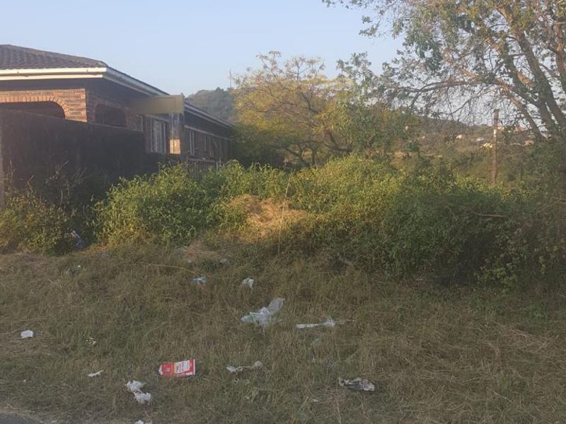 Street view of a vacant residential plot showing overgrown vegetation and boundary wall, adjacent to an existing residential property.
