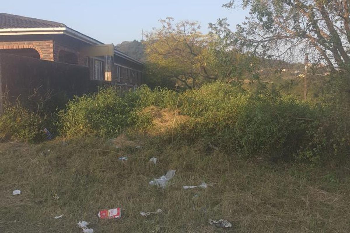 Street view of a vacant residential plot showing overgrown vegetation and boundary wall, adjacent to an existing residential property.