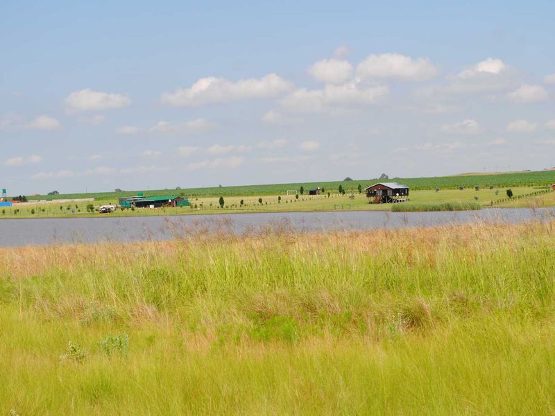 Lovely off the grid Vaaldam property (Offers welcome) - Photo 2