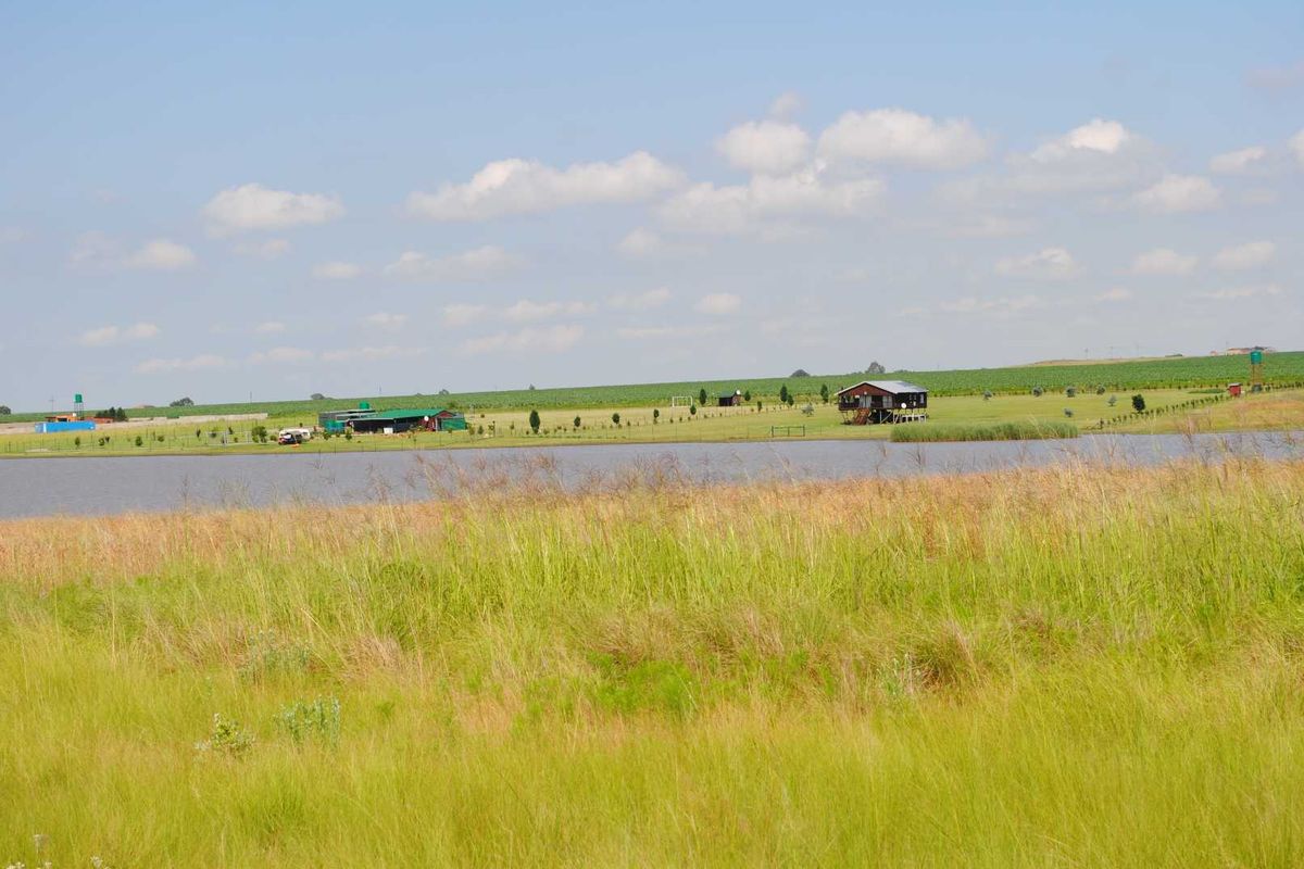 Lovely off the grid Vaaldam property (Offers welcome) - Photo 2