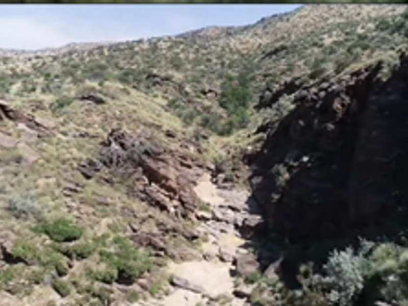 Development Opportunity - Photo 5