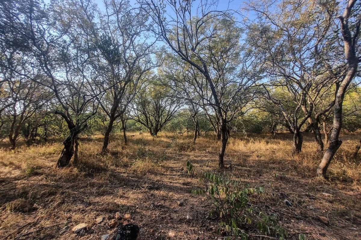 Stand with Bushveld views. - Photo 3