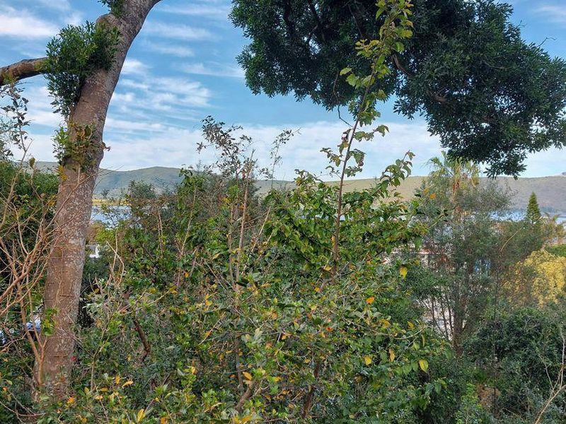 Vacant Land in Paradise - Photo 3