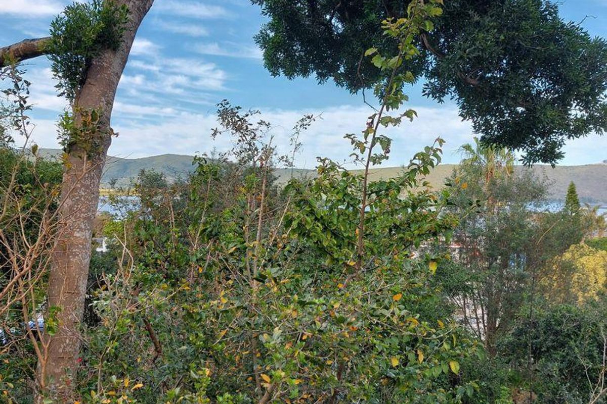 Vacant Land in Paradise - Photo 3