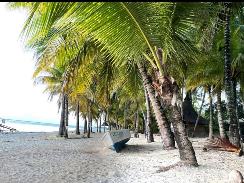 MONT CHOISY BEACHSIDE LIVING – OFF-PLAN LAUNCH - Photo 7