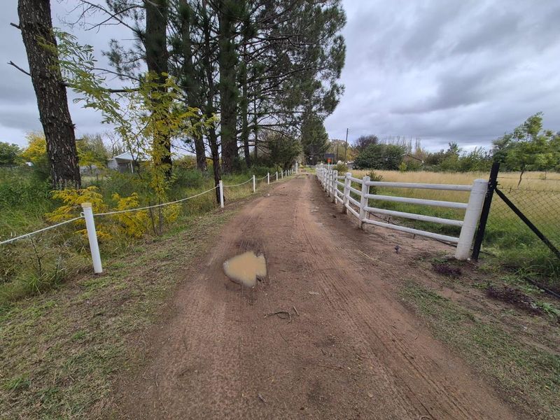 Riverside Smallholding with Pecan Orchard, Pool and Solar - Photo 4