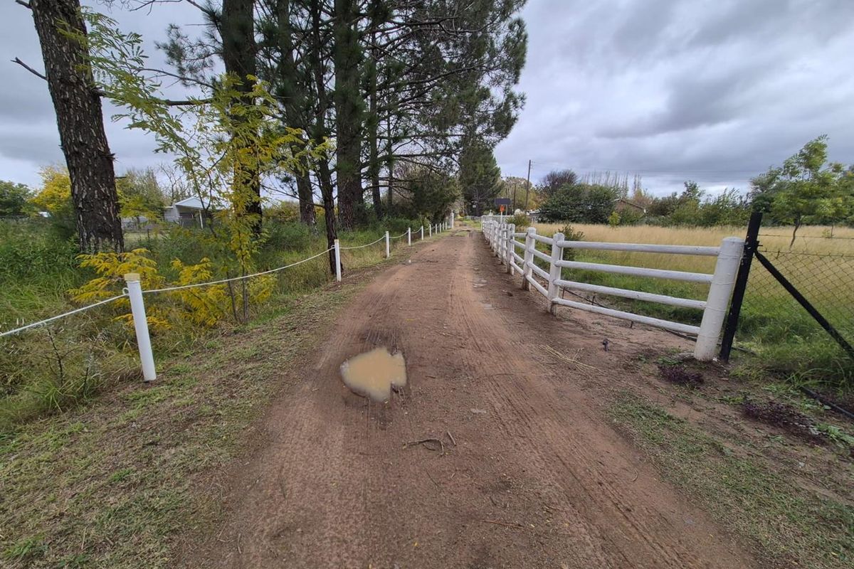 Riverside Smallholding with Pecan Orchard, Pool and Solar - Photo 4